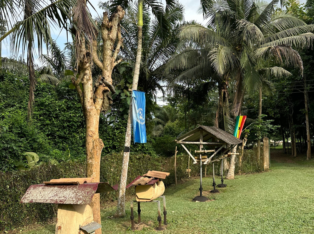 International Stingless Bee Centre-Cape Coast必去景点
