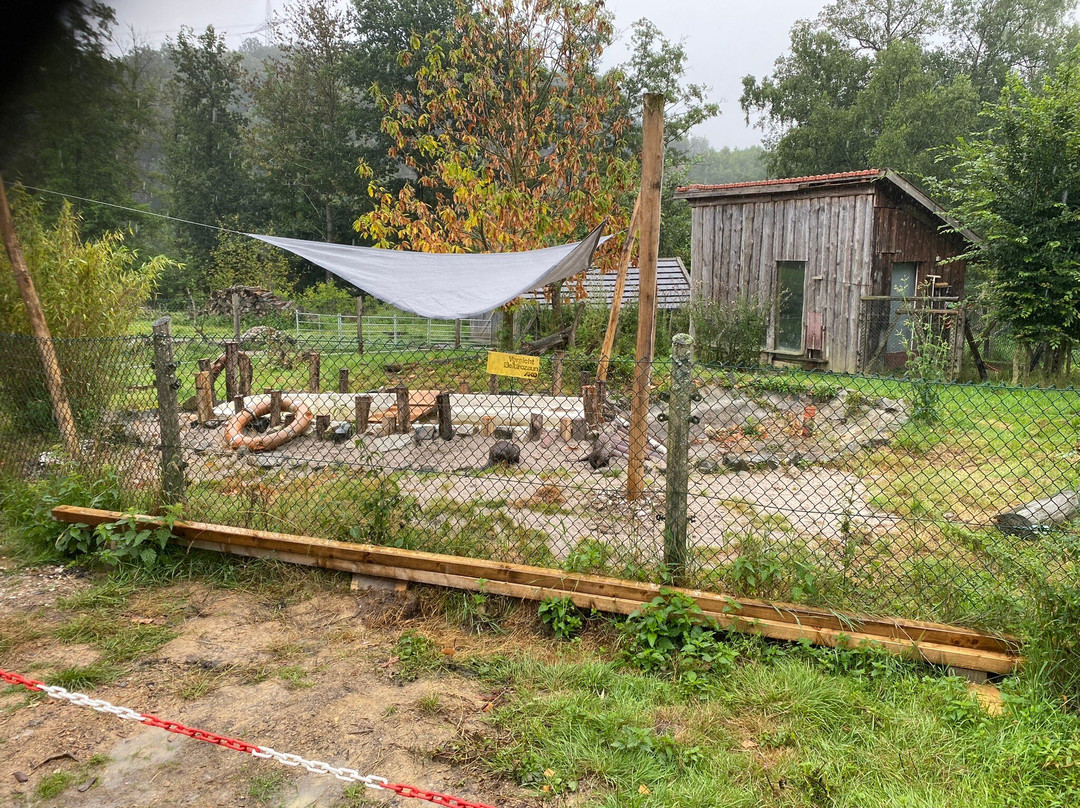 Tierpark Rheinböllen-Rheinbollen必去景点