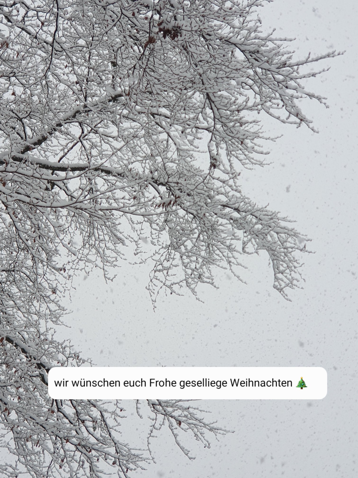 Alte Schmiede Luckendorf-官方