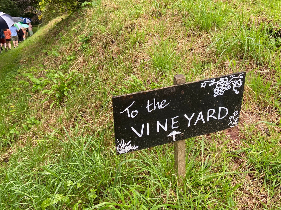 Astley Vineyard景点图片