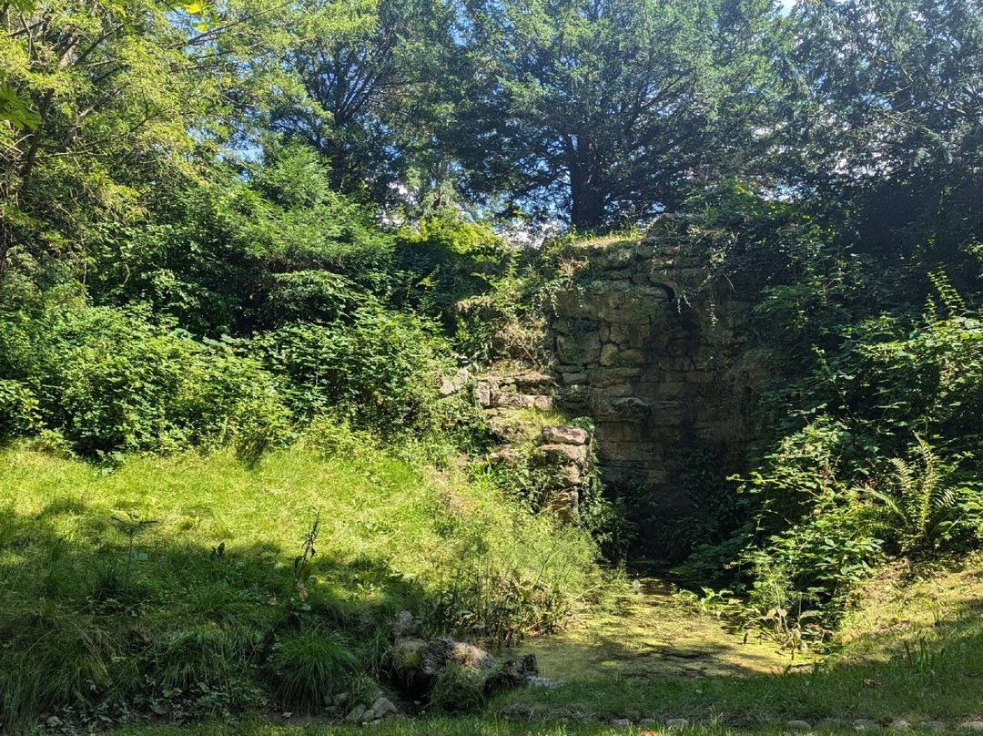 Eutiner Schlossgarten景点图片