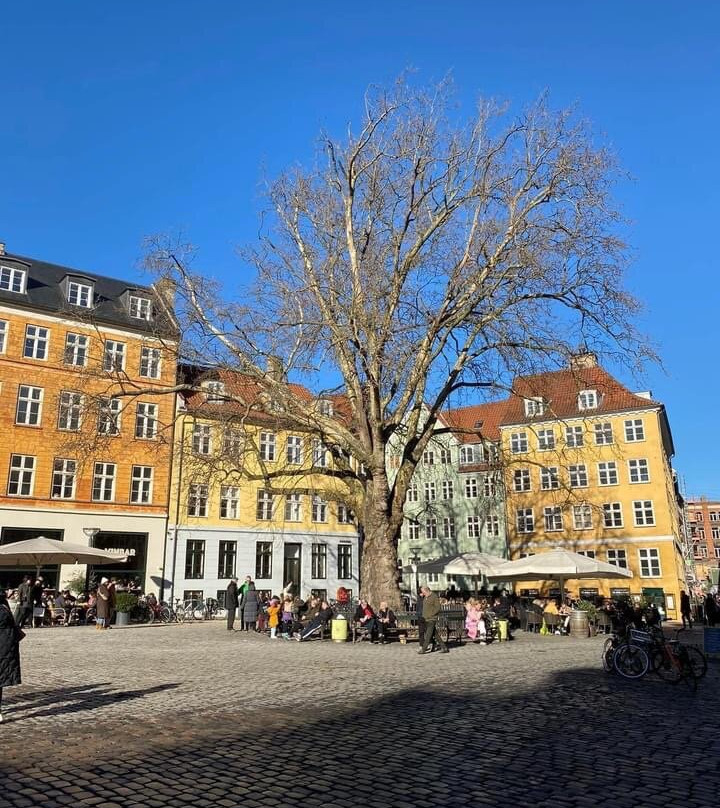 Gråbrødretorv-哥本哈根必去景点