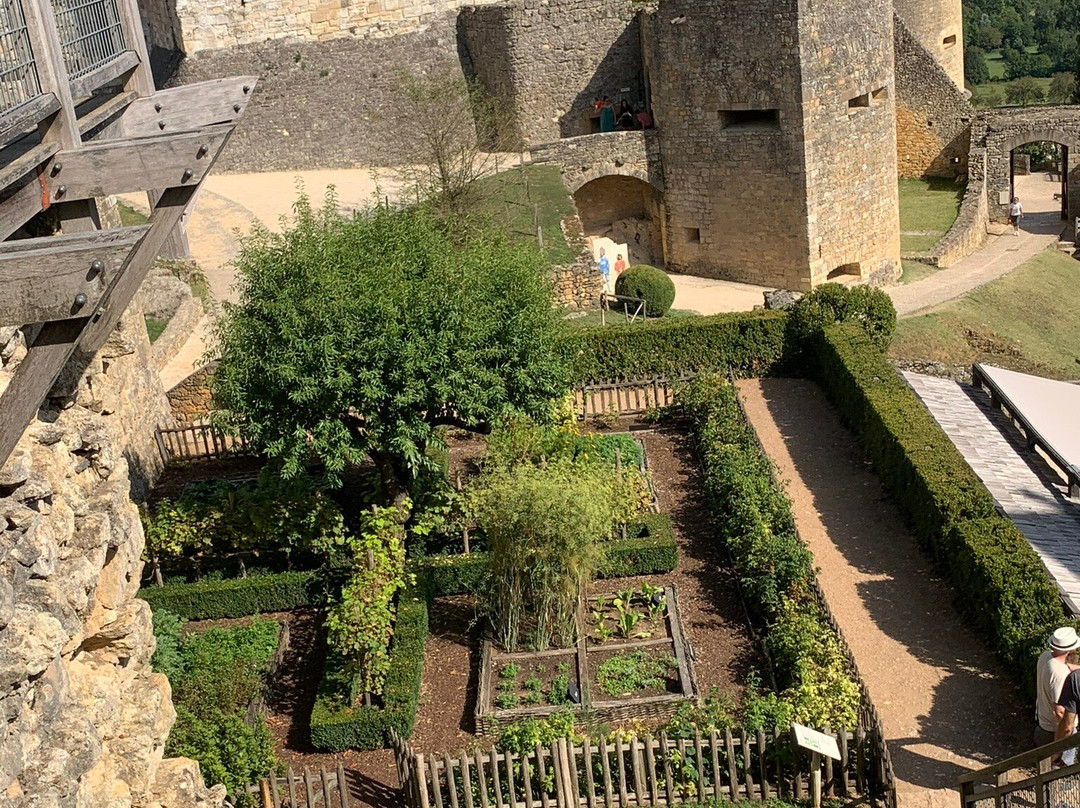 Château de Castelnaud景点图片