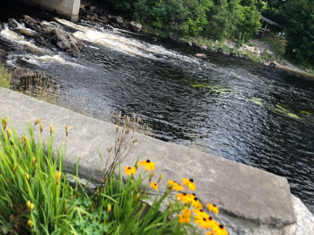 The Bluebird Motel主图