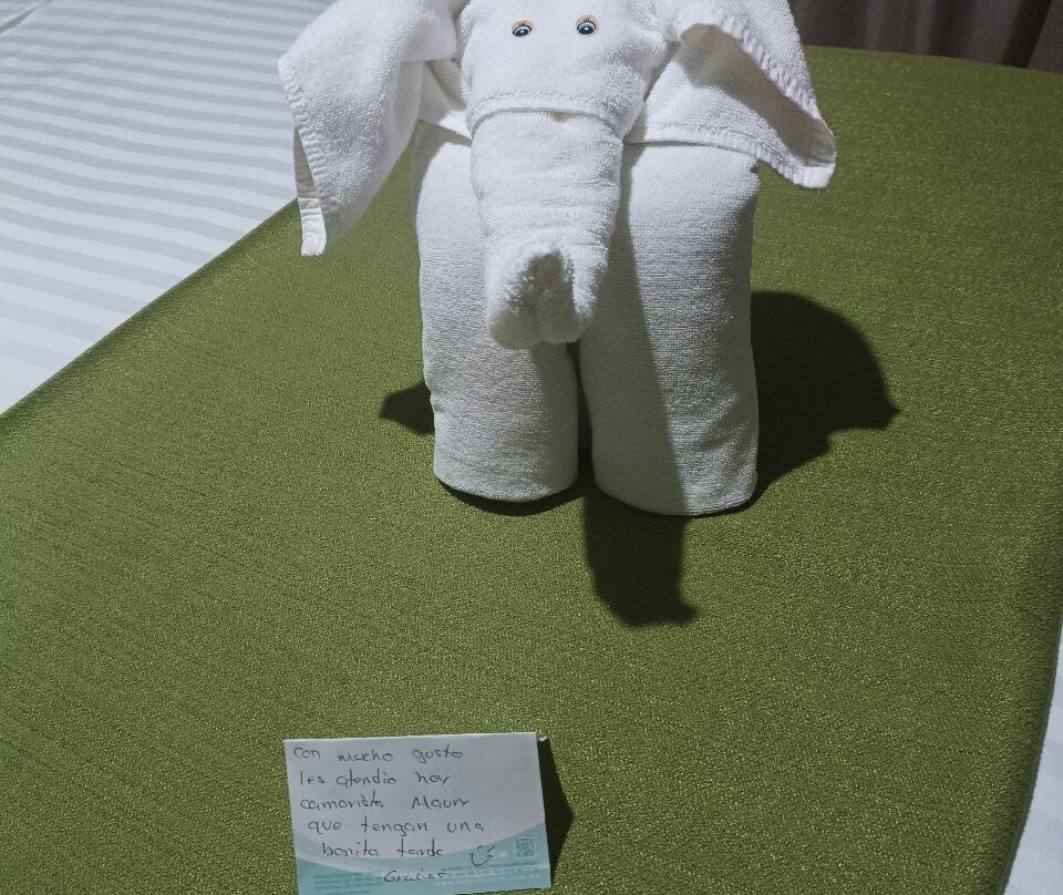 Olas Altas Inn Hotel & Spa主图