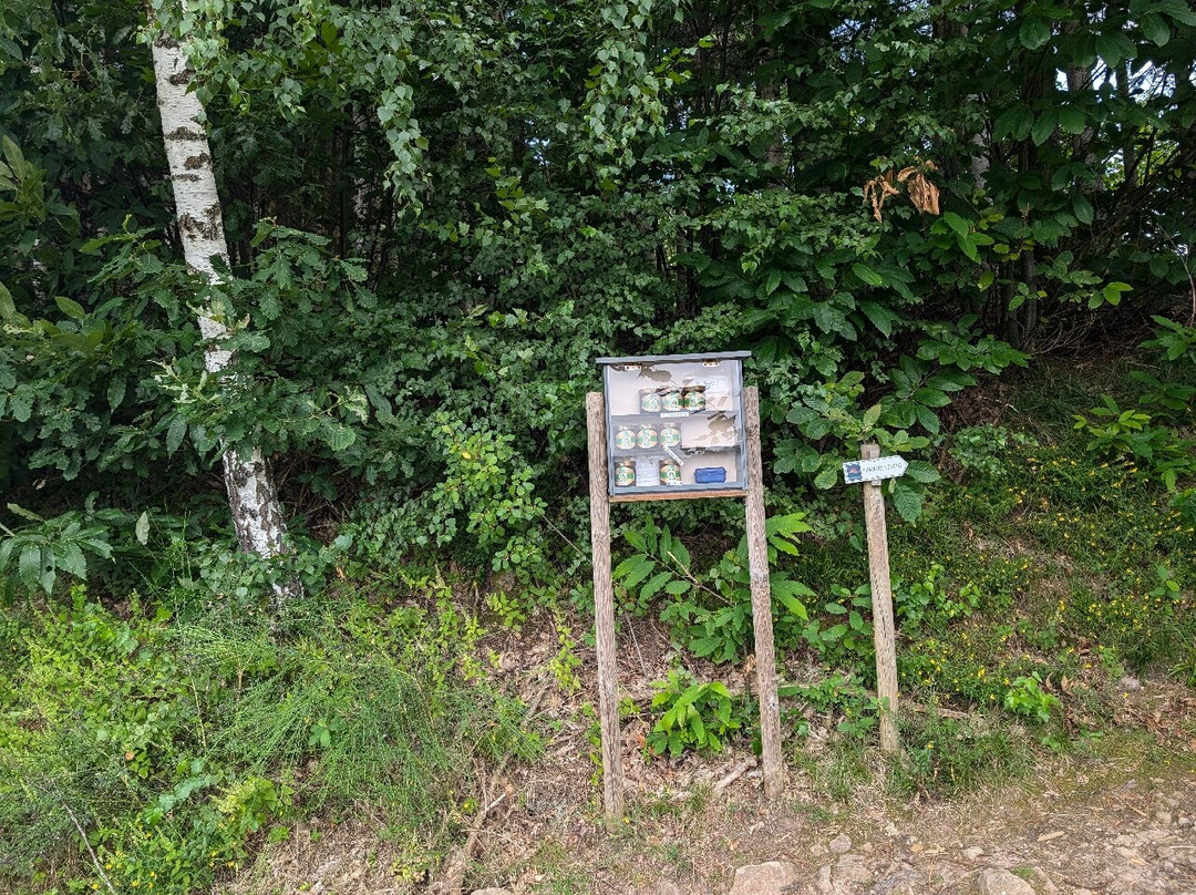 Himmelssteig-Bad Peterstal-Griesbach必去景点