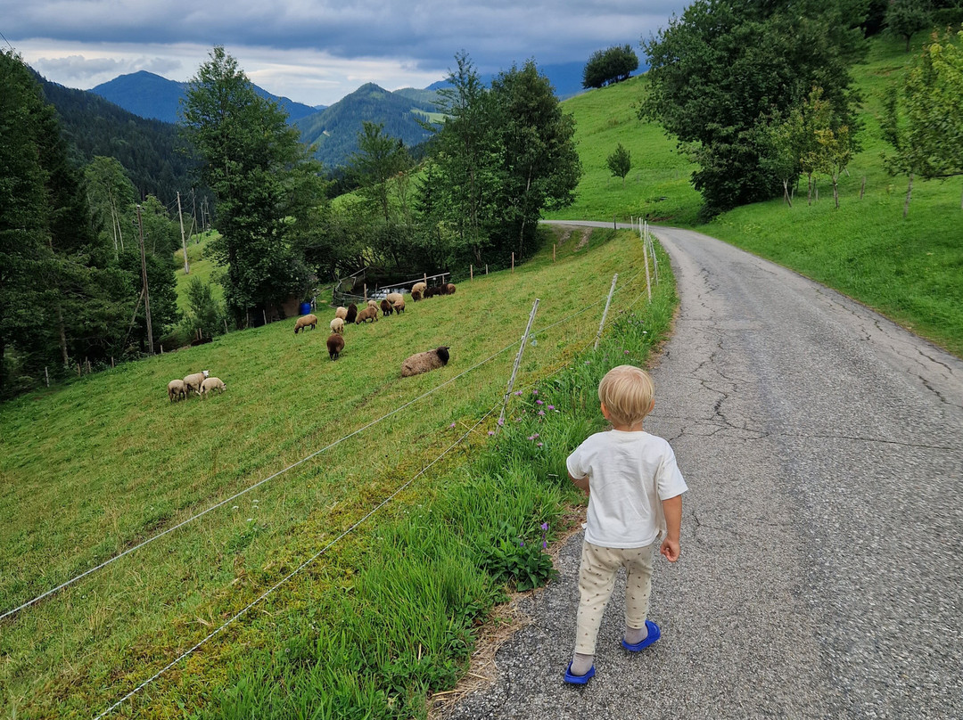 Lacken Biobauernhof主图