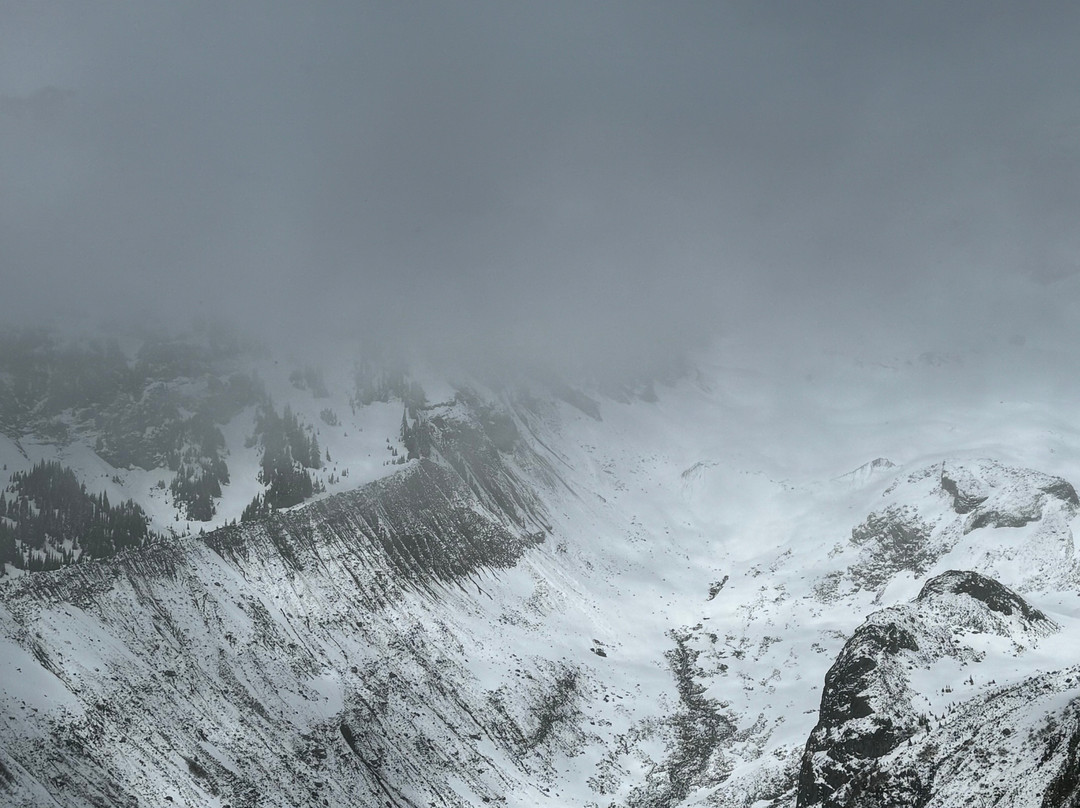 Nisqually Vista Loop景点图片