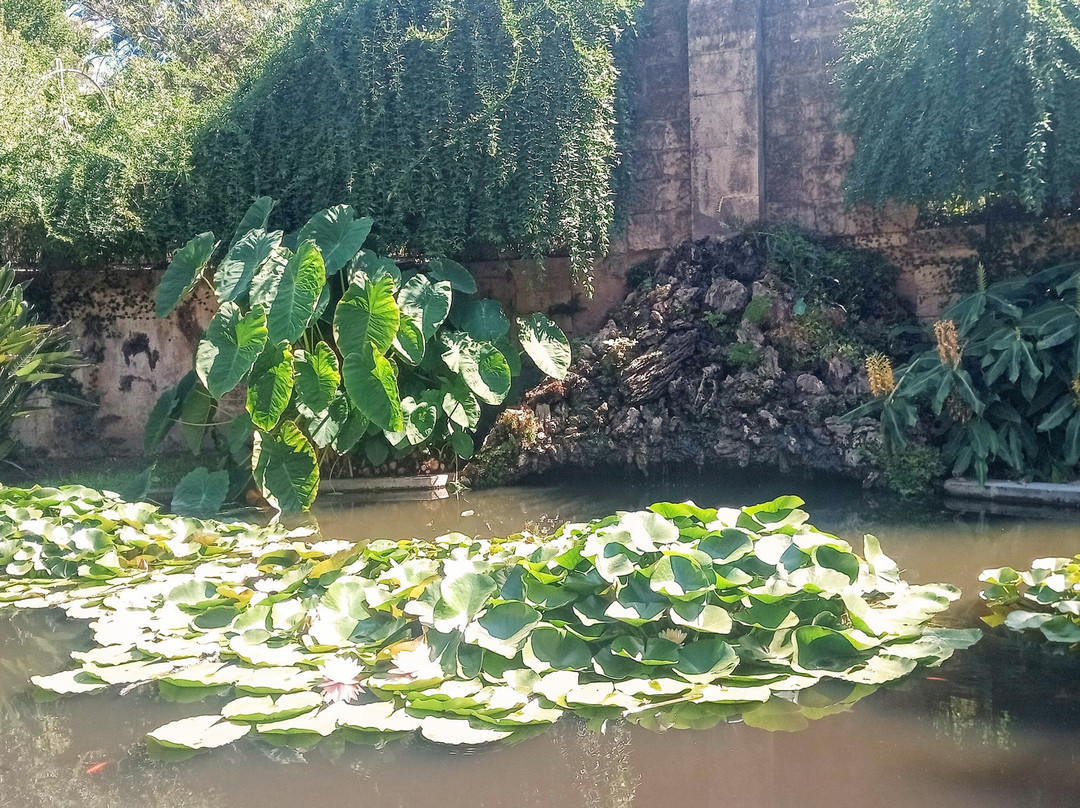 Jardim Botanico景点图片