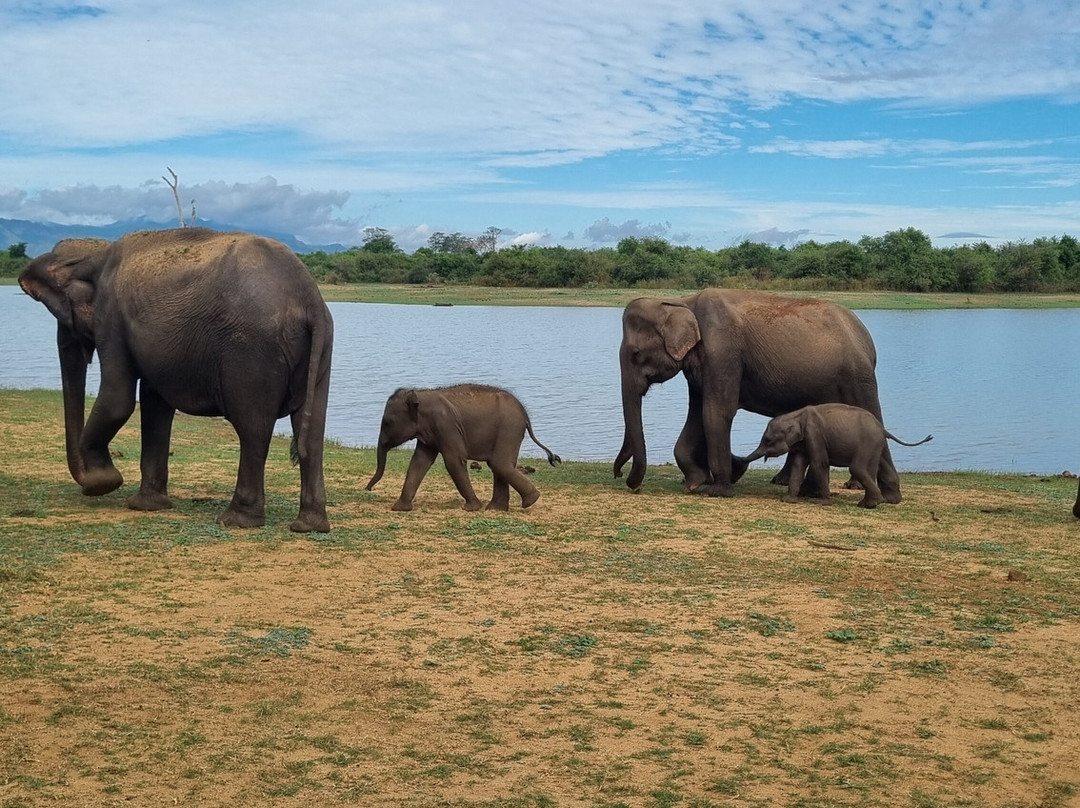 Tusker's Paradise Safari Villa
