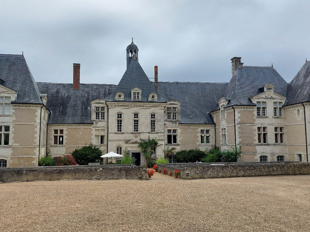 Chateau de Marcilly景点图片