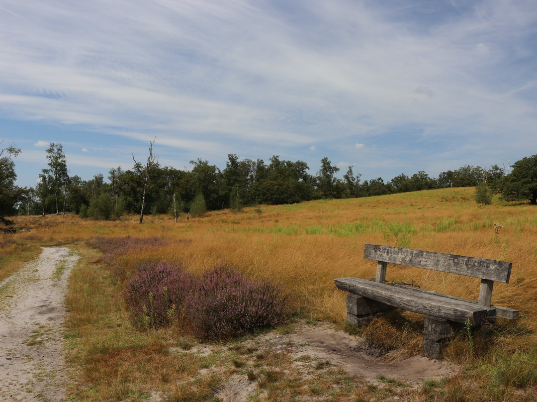 Langoed De Hamert, Wellerlooi-Wellerlooi必去景点