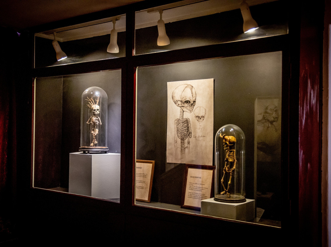 Museum Obscurum景点图片