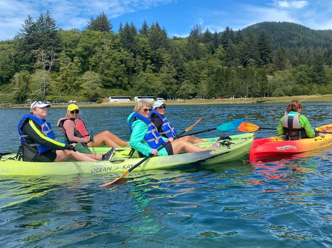 Safari Town Surf Shop-林肯城必去景点