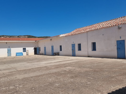 Cooperativa Sealand Asinara-萨萨里省必去景点