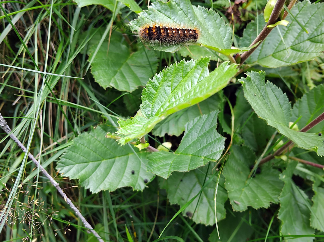 Bad Fusch-Fusch必去景点