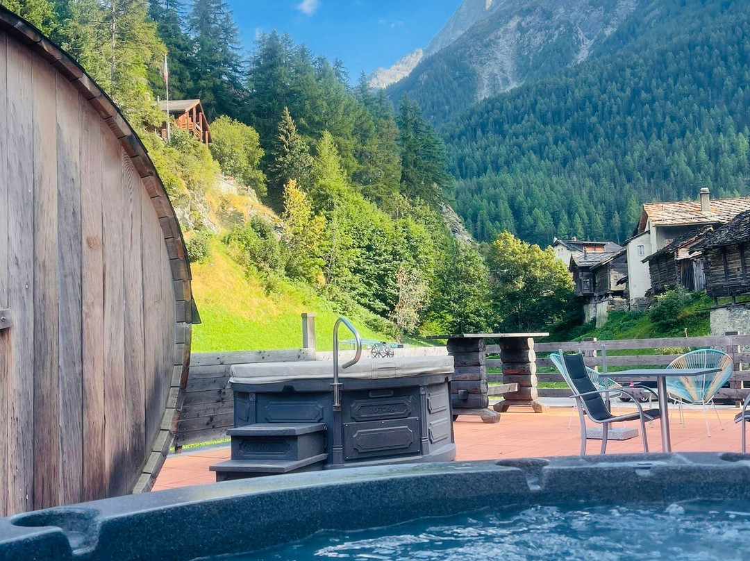 Hotel Les Melezes主图