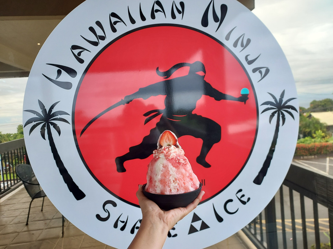 Hawaiian Ninja Shave Ice