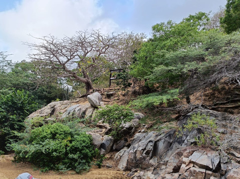 Guajira Tours-Riohacha必去景点
