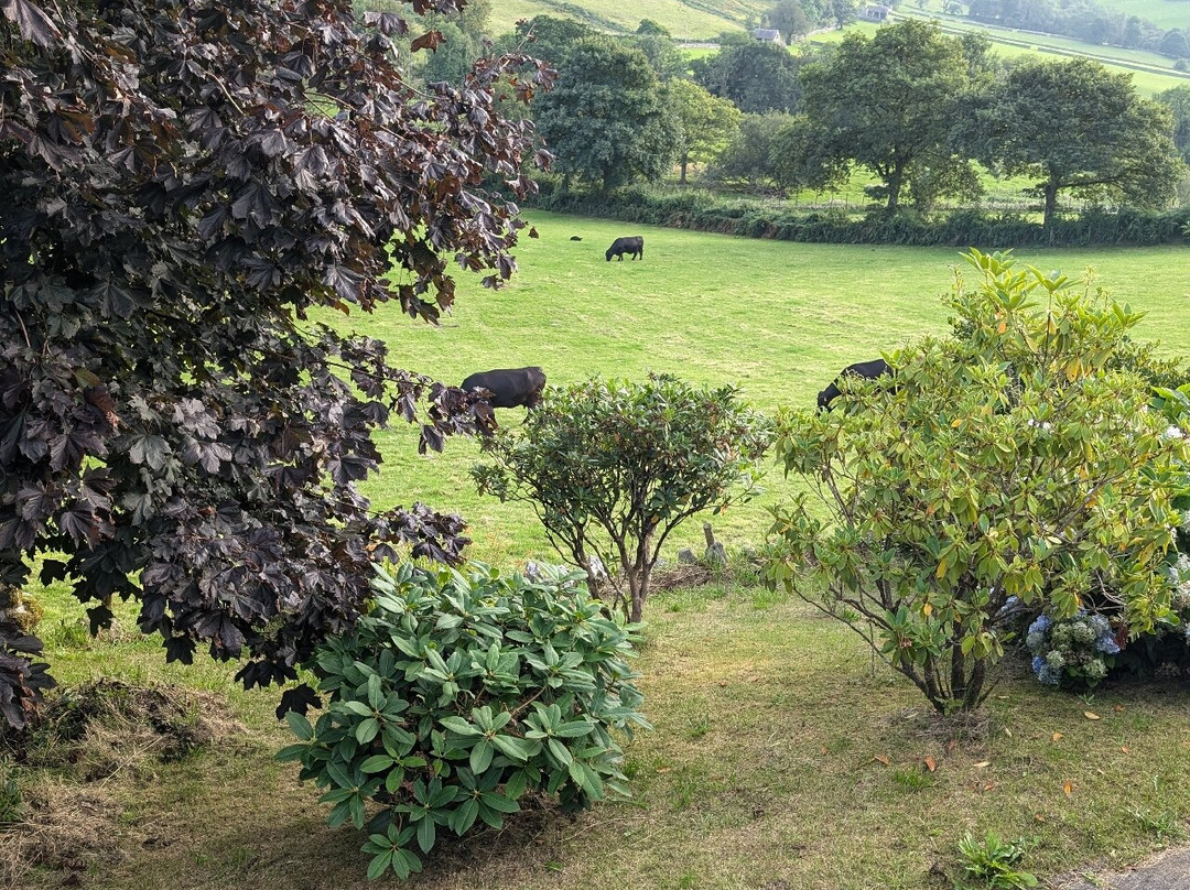 Heulwen Guest House主图