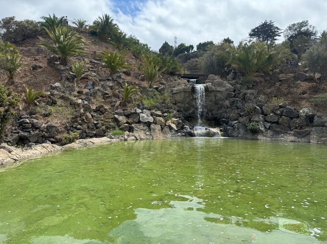 Parque Natural El Montillo-圣克鲁斯-德特内里费必去景点