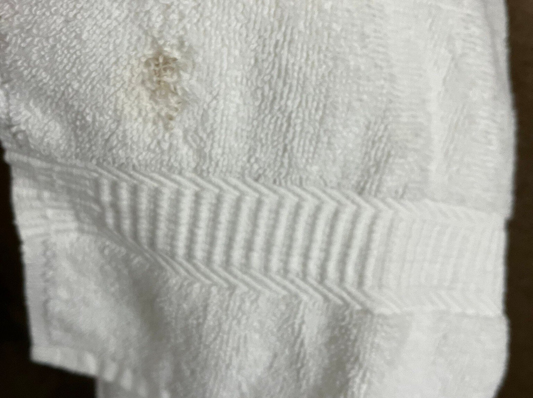 Comfort Inn & Suites主图