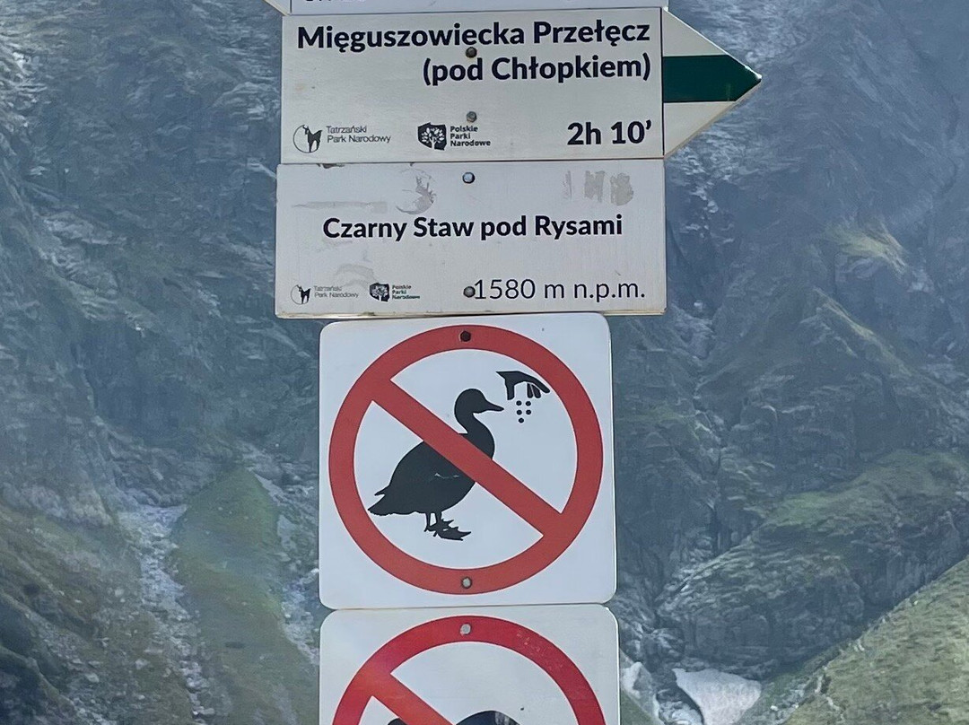 The Black Pond景点图片