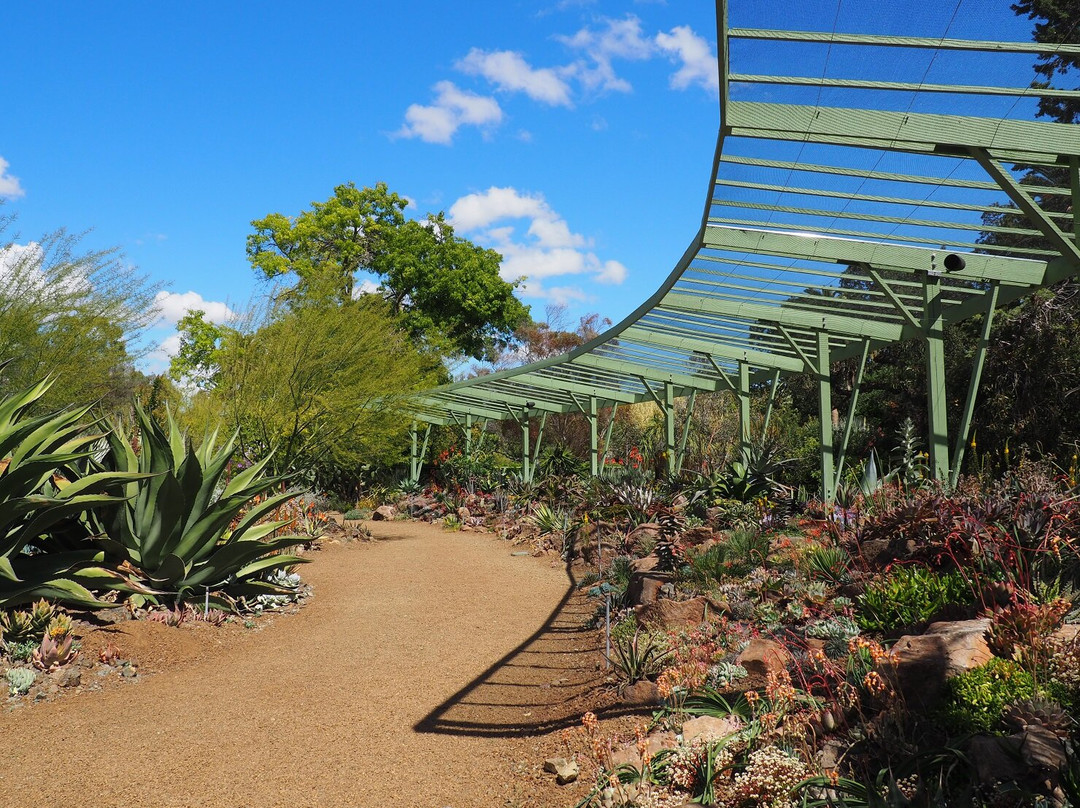 The Ruth Bancroft Garden-核桃溪必去景点