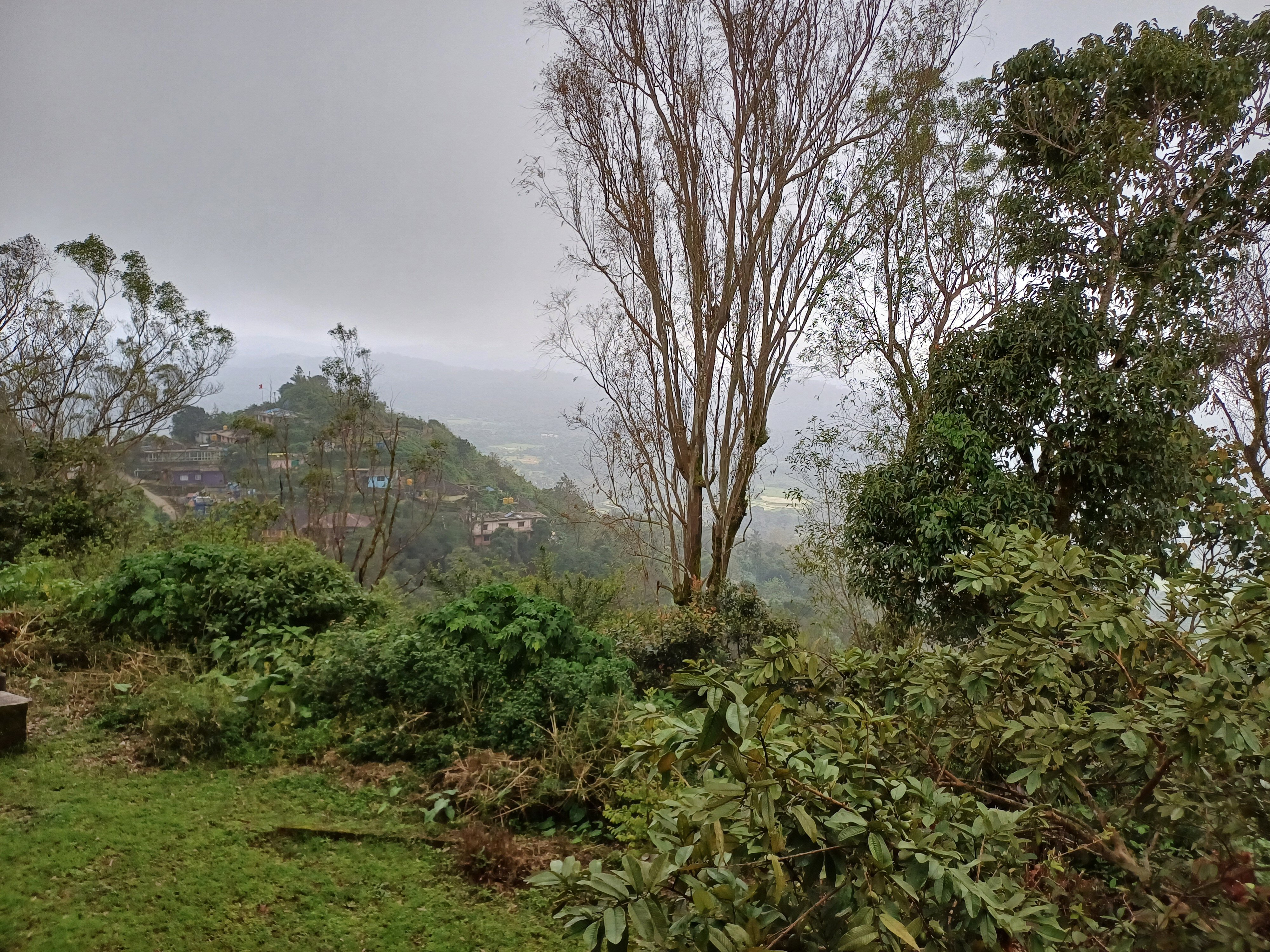 Hotel Mayura Valley View Madikeri-官方