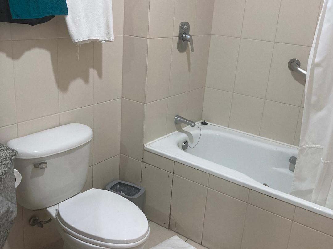 蓬塔阿雷纳斯圣迭戈德阿尔马格罗酒店主图