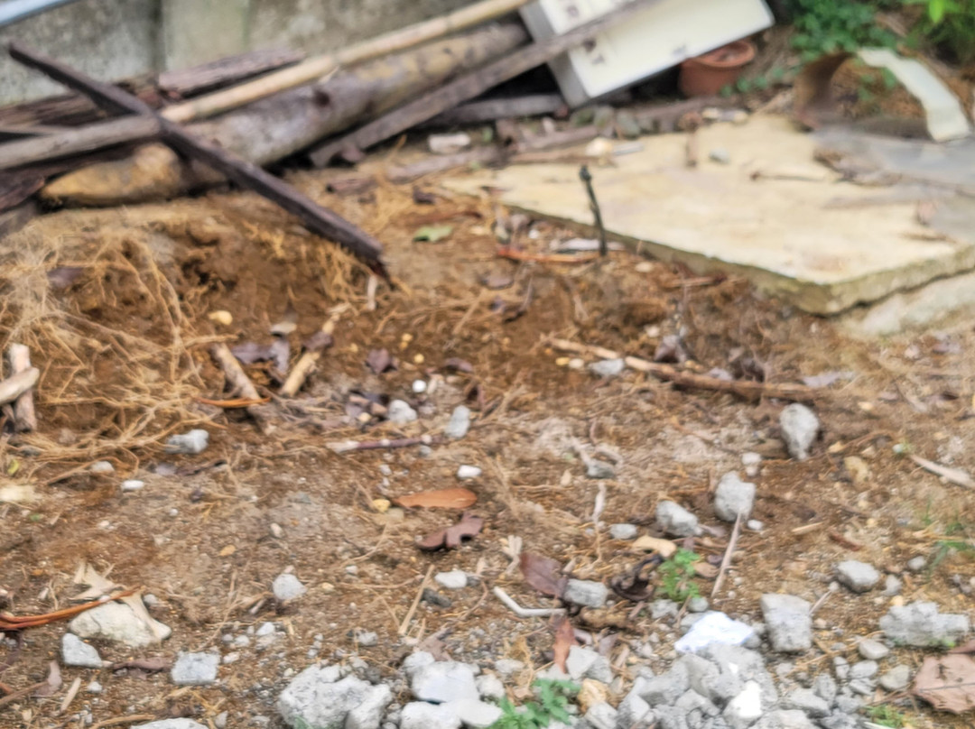 Greenhouse Siargao主图