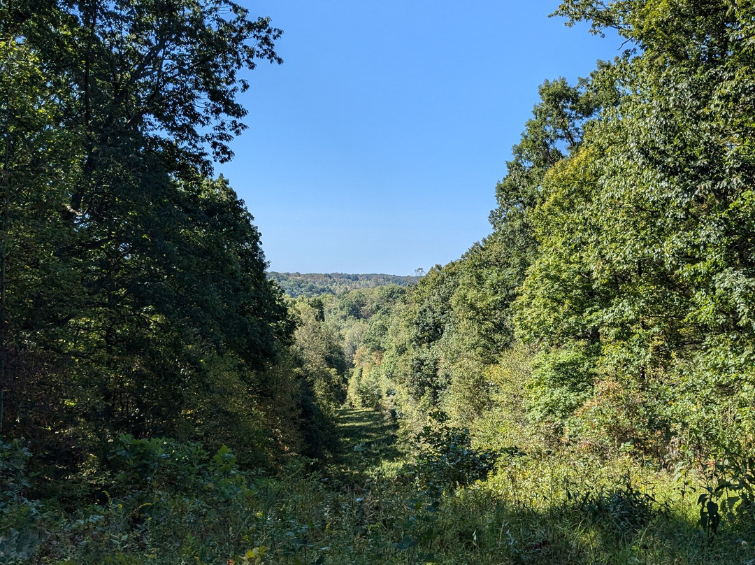 Clear Creek Metro Park-Rockbridge必去景点