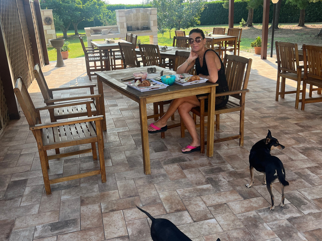 Agriturismo Karrares主图