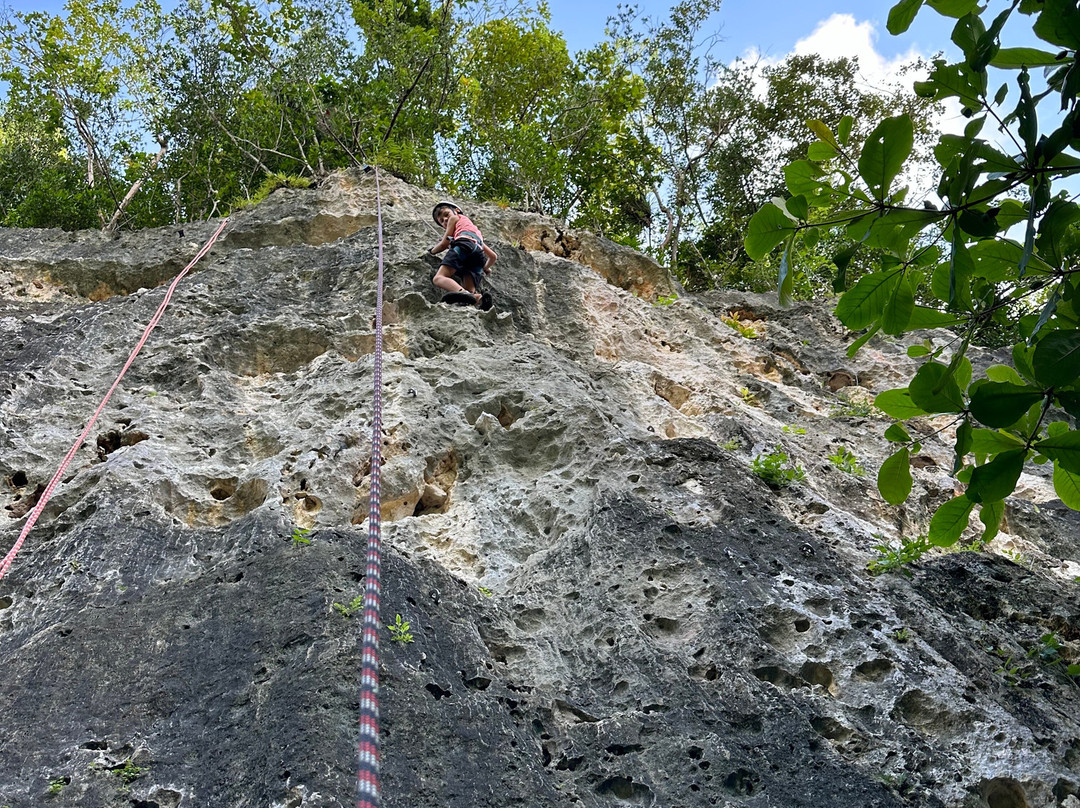 Roca Norte Outdoor Climbing Gym-Vega Baja必去景点