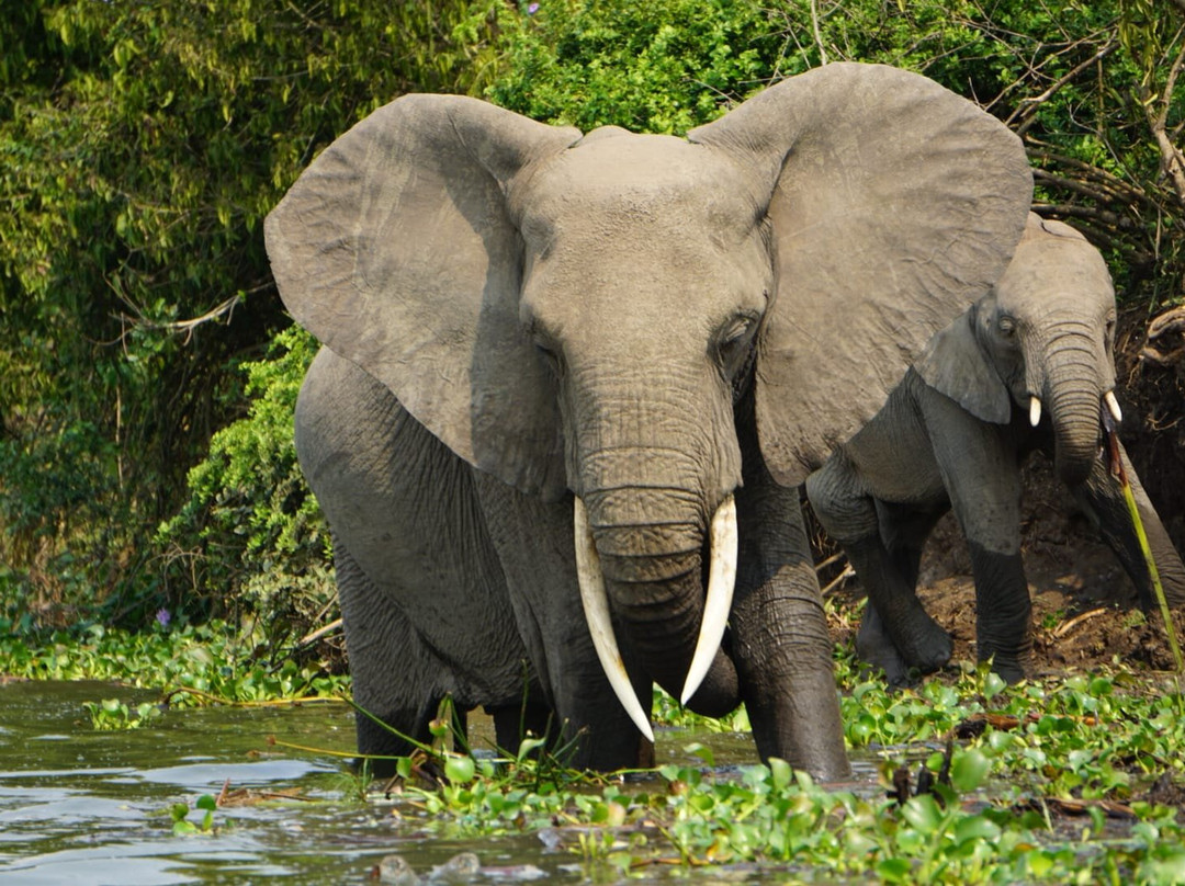 Exclusive African Safaris-Wakiso必去景点