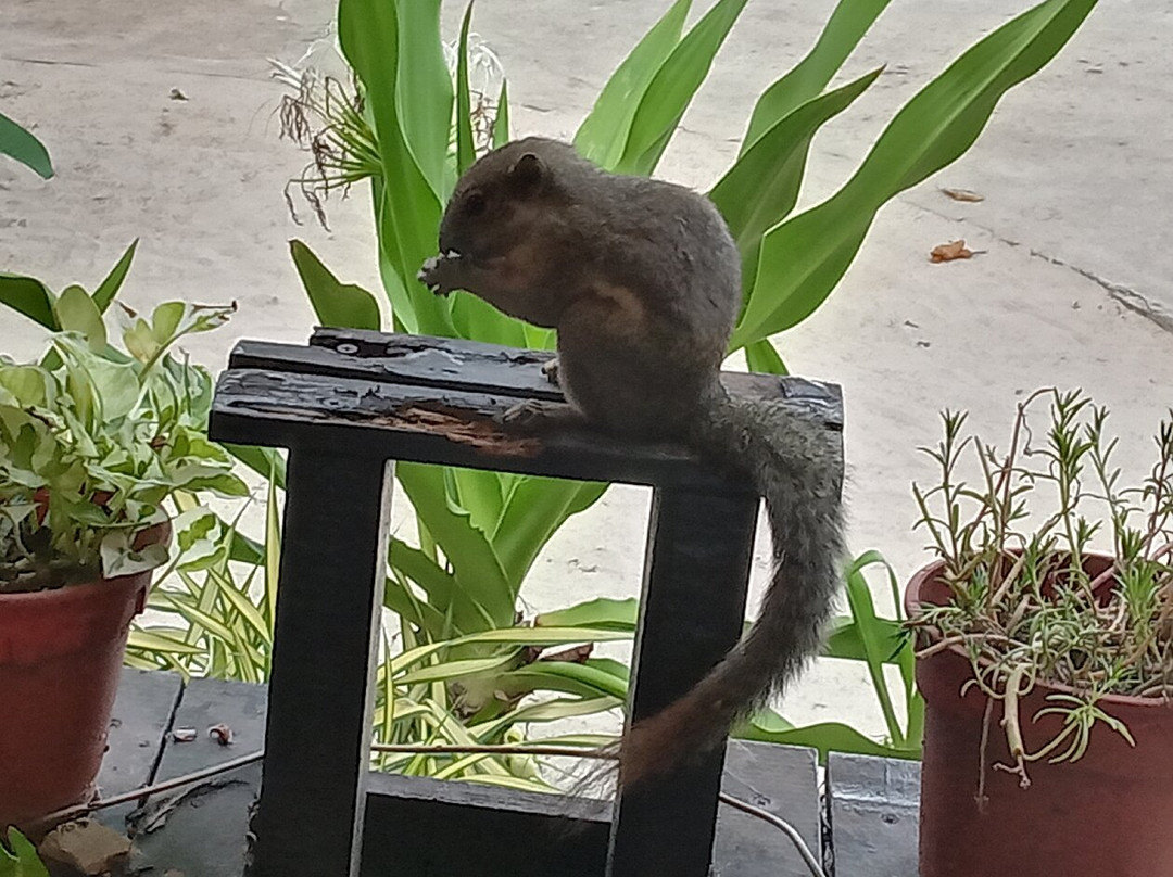 热浪彩虹度假村主图