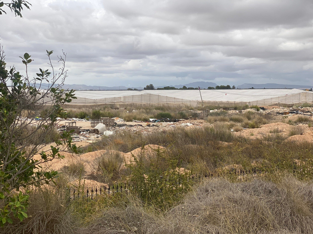 Mar Menor Golf景点图片