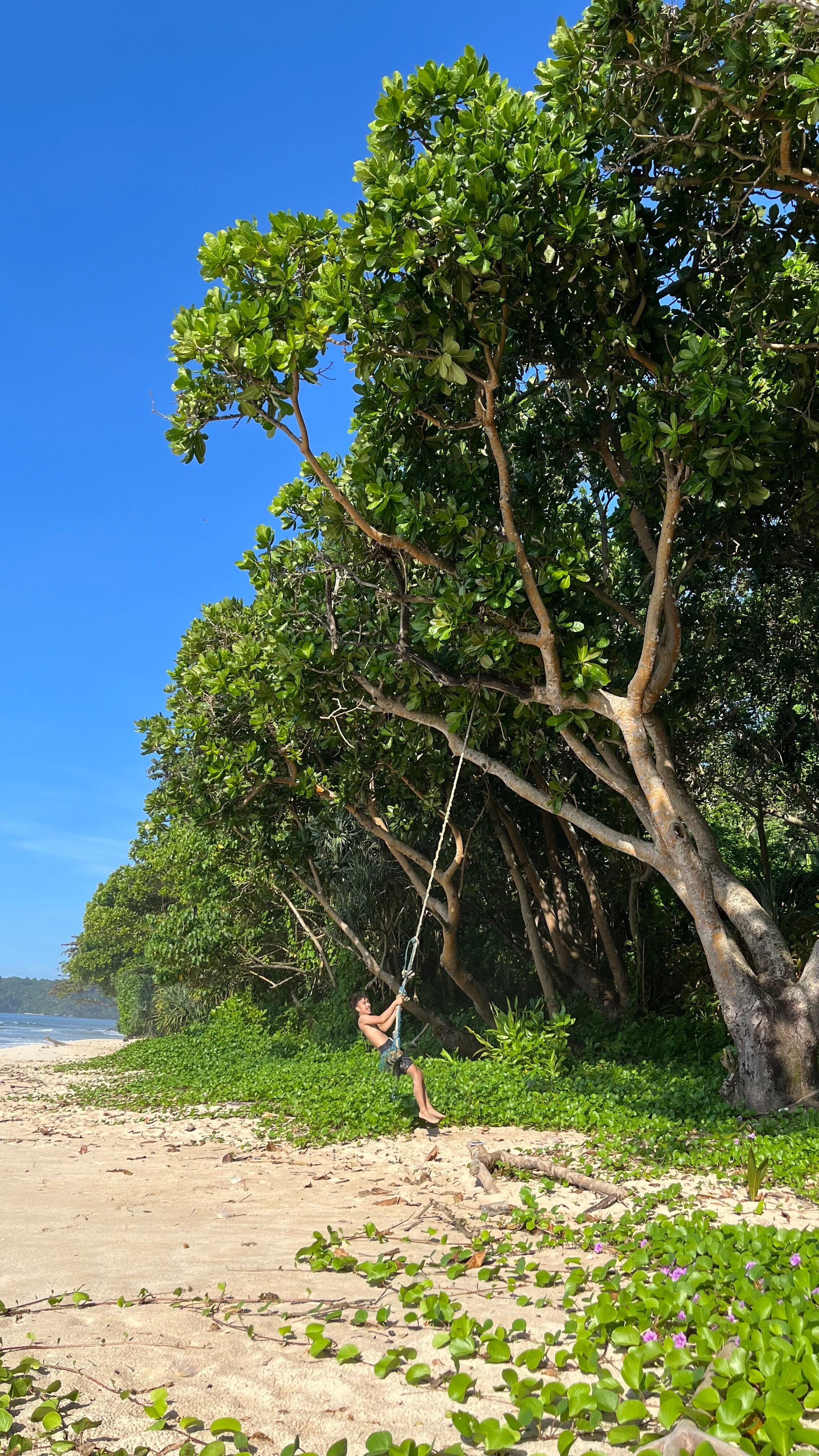 Sendiki Beach-2024年9月20日上传的实拍图