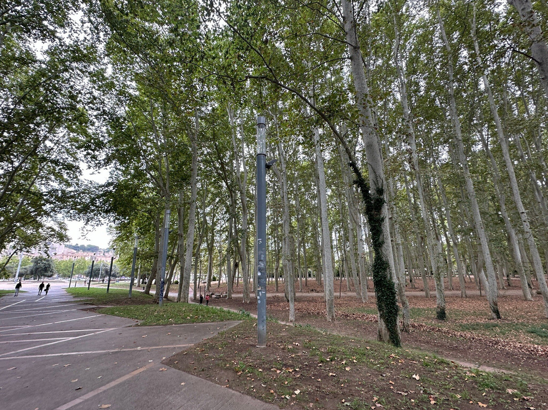 Parc de la Devesa景点图片