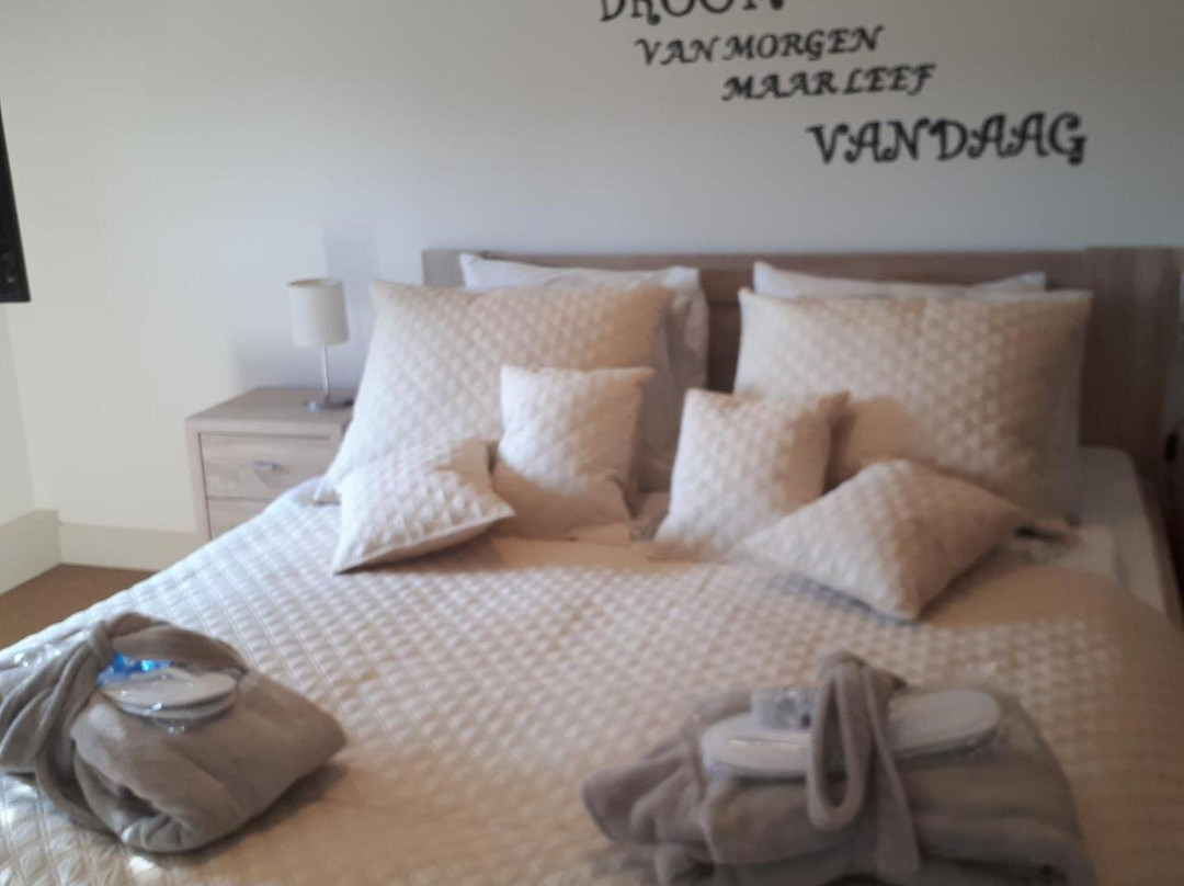 B&B Carpe Diem主图