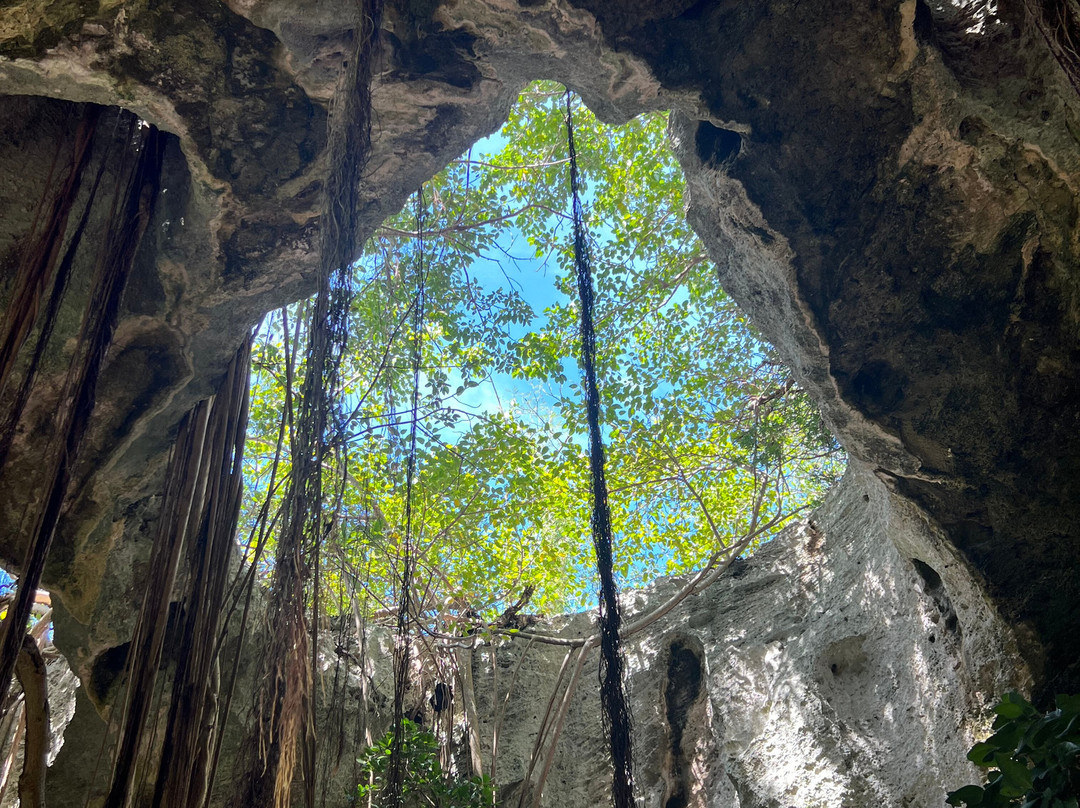 Belmont Car Rental and Tour-North Caicos必去景点