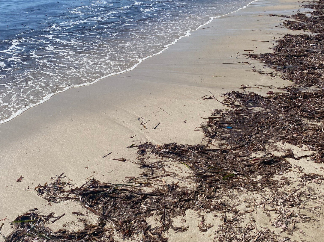 Playa de l'Ampolla景点图片
