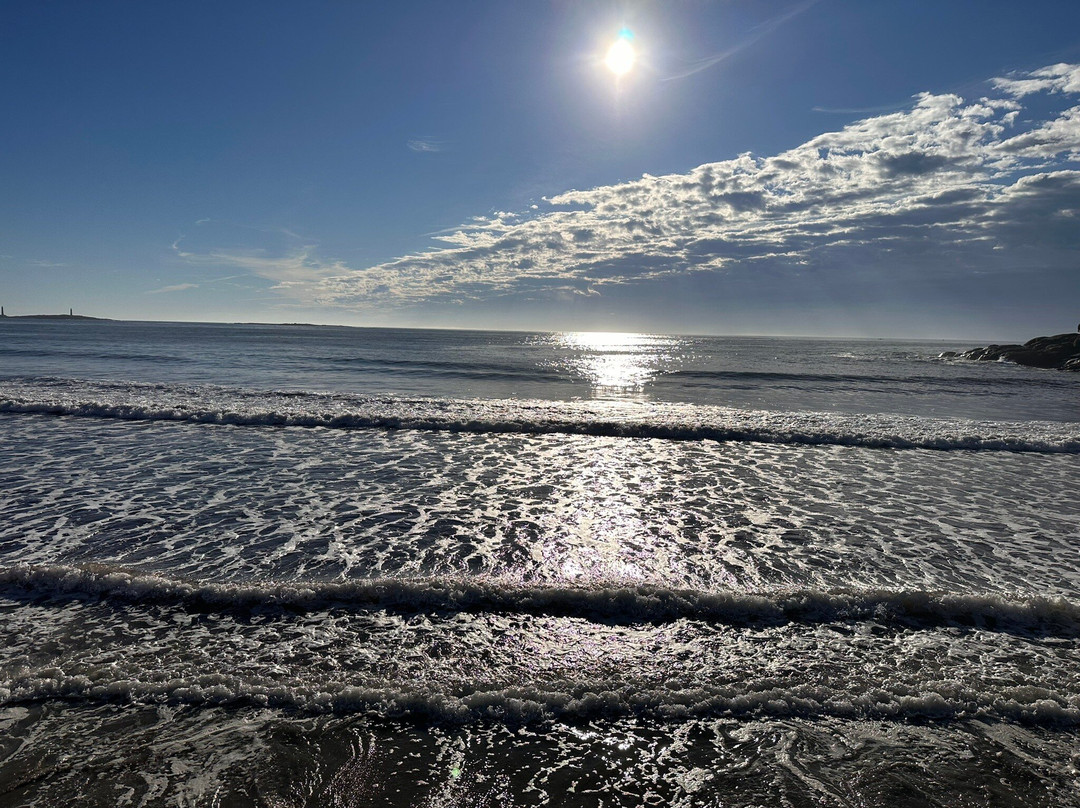 Long Beach景点图片