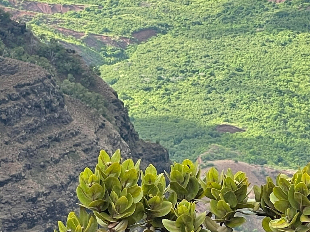 Pu'u Hina Hina-卡慕也拉必去景点