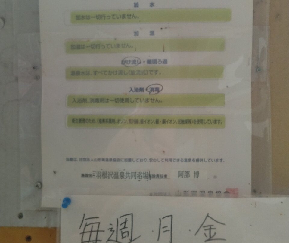 Hanesawa Onsen Kyodo Yokujo景点图片