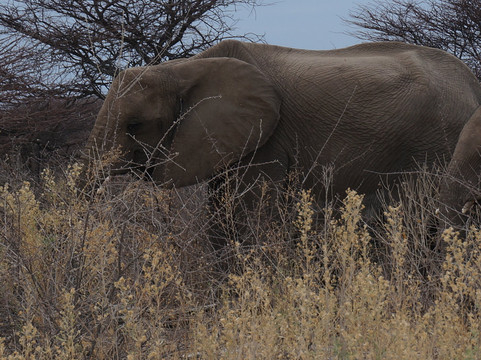 Dunas Safari-温德和克必去景点
