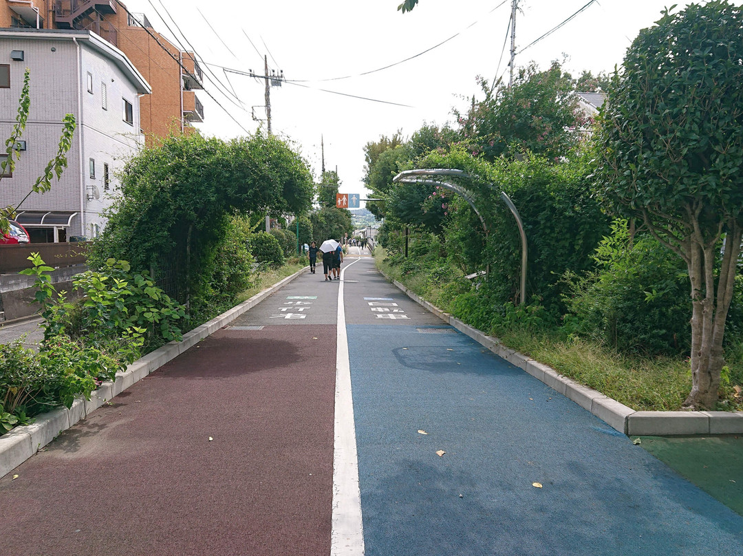 Shimogawara Green Pathway-府中市必去景点
