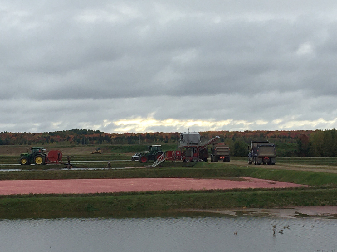 Centre D’Interpretation De La Canneberge-Saint-Louis-de-Blandford必去景点