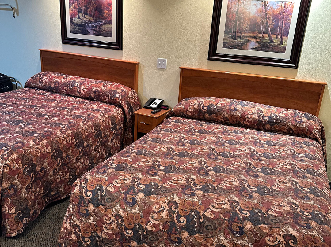 黑鹰汽车旅馆主图