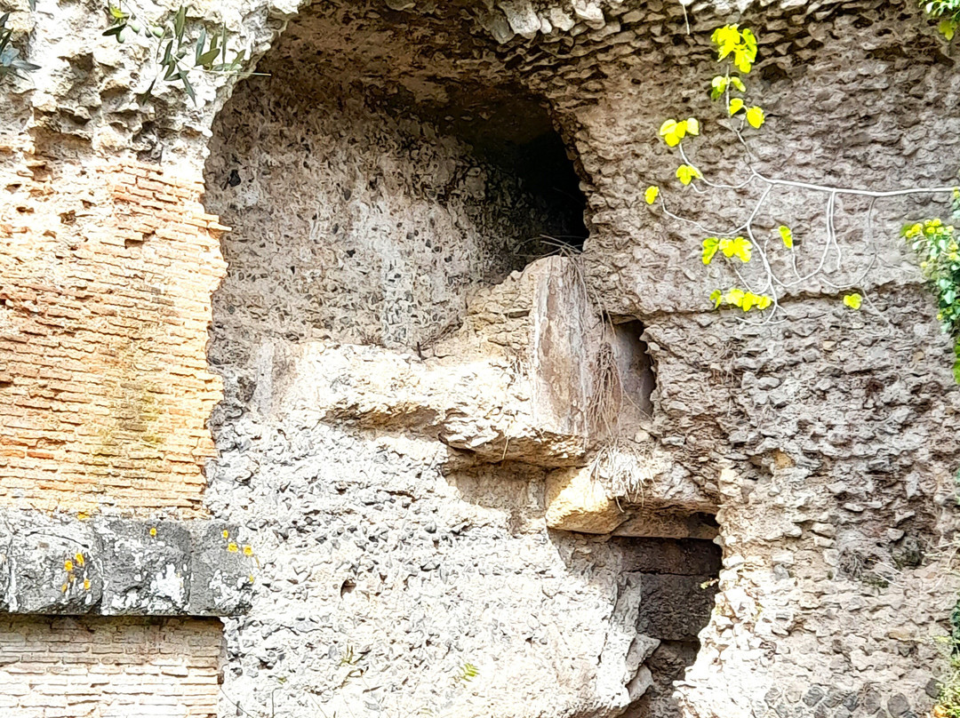 Area Archeologica di Poggio Moscini景点图片